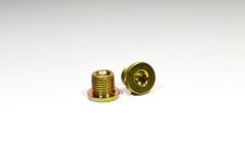 Болт-заглушка D=16mm